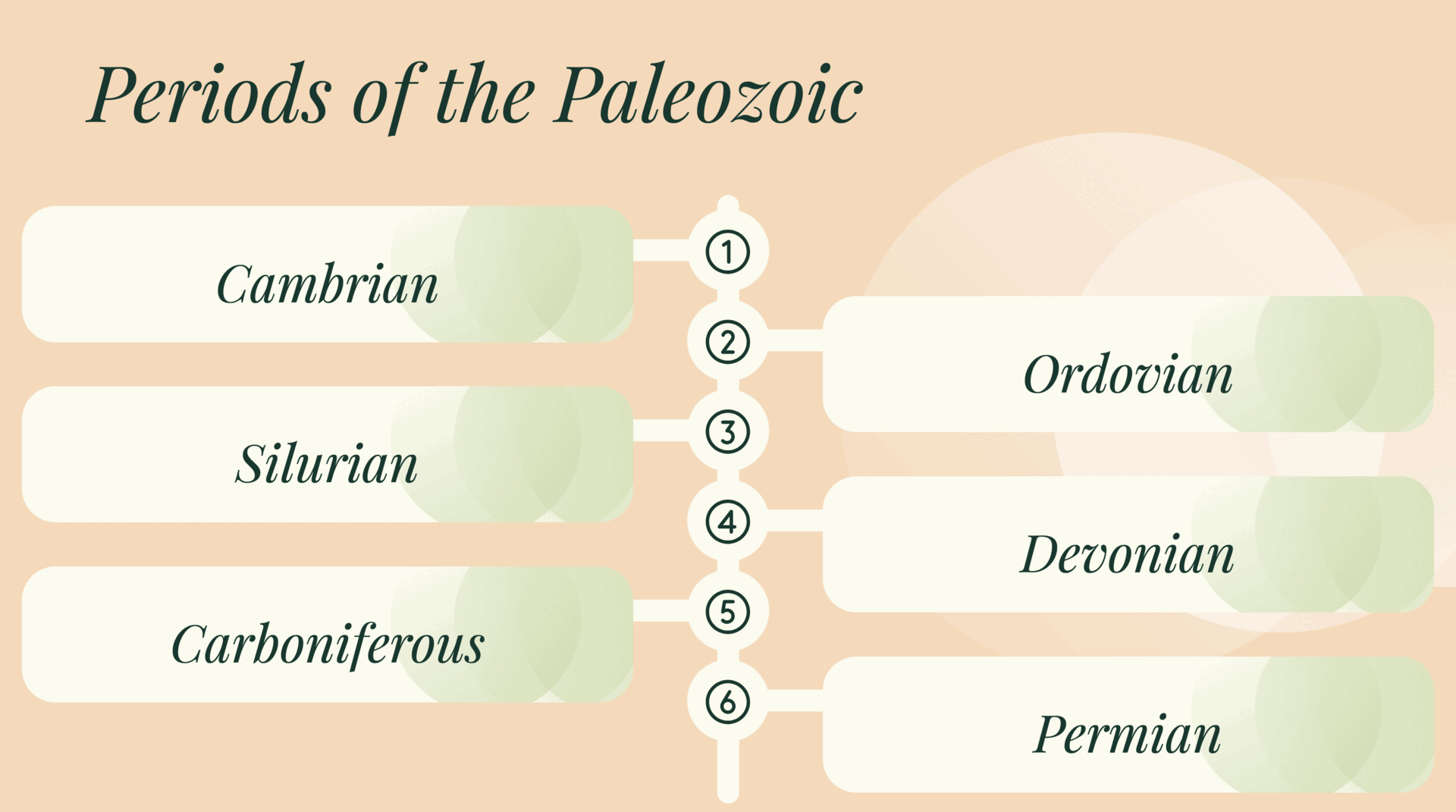 Vertical and horizontal timelines of the Paleozoic era